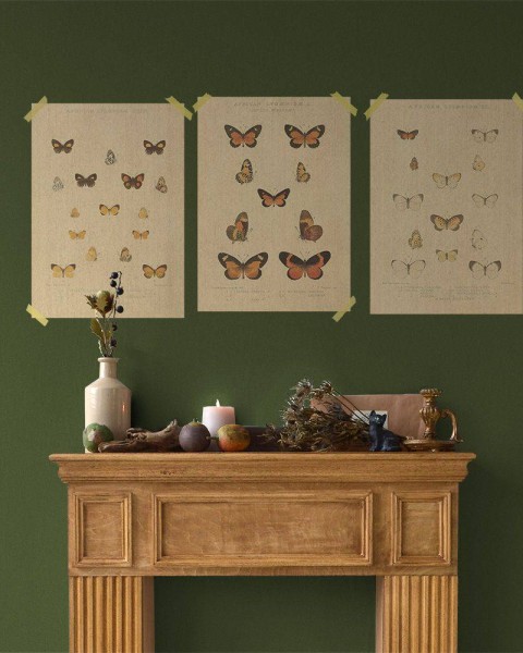 Flax Art Poster | Encyclopedia Butterfly C | FWP-AP-EN2C